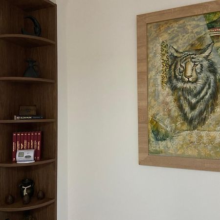 Casa Mountain View Βίλα Μπρασόβ Εξωτερικό φωτογραφία