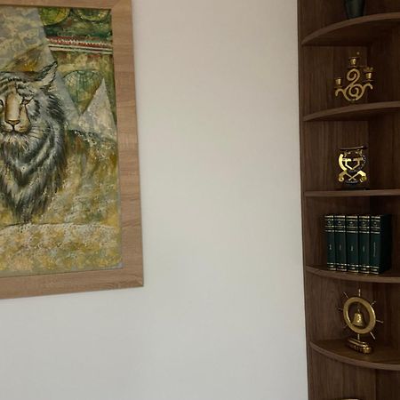 Casa Mountain View Βίλα Μπρασόβ Εξωτερικό φωτογραφία