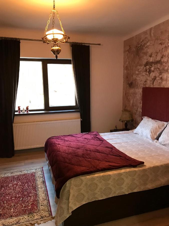 Casa Mountain View Βίλα Μπρασόβ Εξωτερικό φωτογραφία