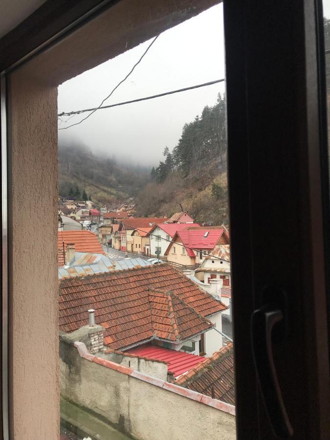 Casa Mountain View Βίλα Μπρασόβ Εξωτερικό φωτογραφία