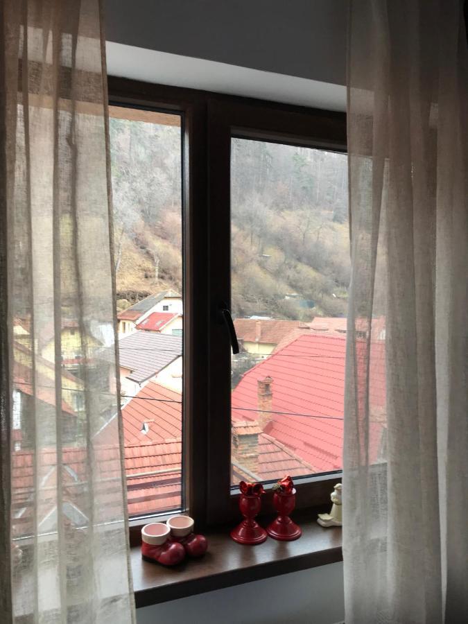 Casa Mountain View Βίλα Μπρασόβ Εξωτερικό φωτογραφία