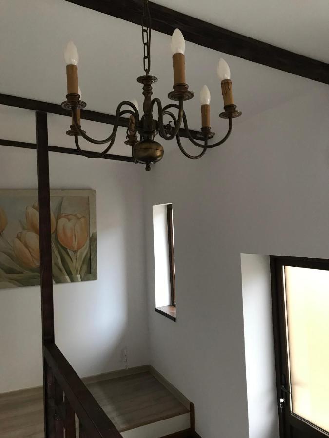 Casa Mountain View Βίλα Μπρασόβ Εξωτερικό φωτογραφία