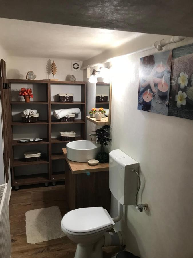 Casa Mountain View Βίλα Μπρασόβ Εξωτερικό φωτογραφία