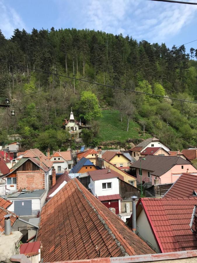 Casa Mountain View Βίλα Μπρασόβ Εξωτερικό φωτογραφία