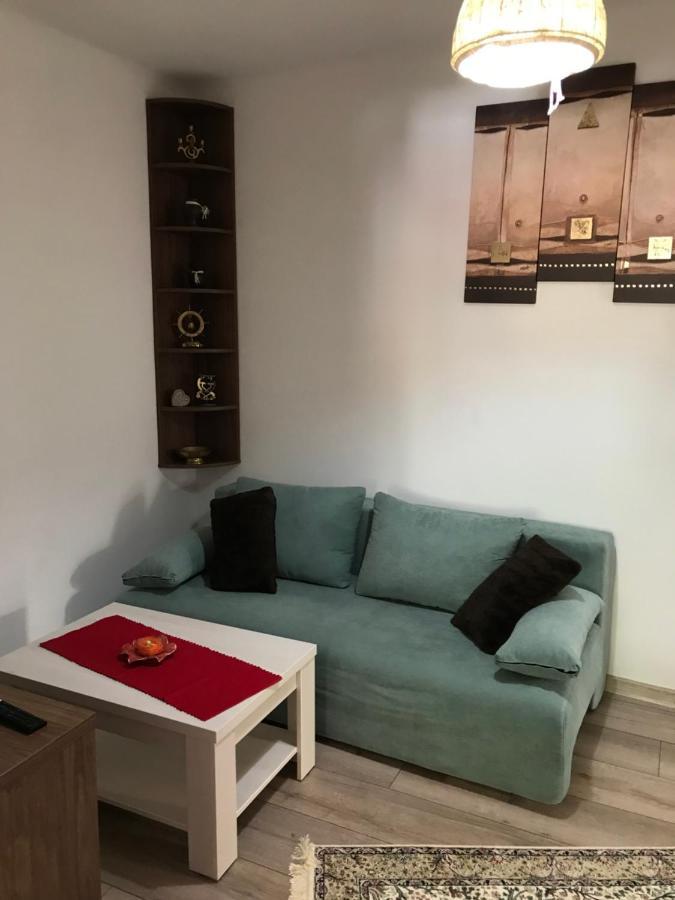 Casa Mountain View Βίλα Μπρασόβ Εξωτερικό φωτογραφία