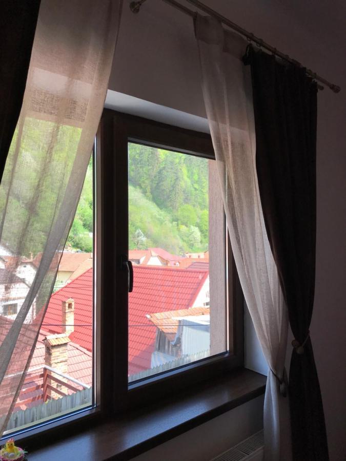 Casa Mountain View Βίλα Μπρασόβ Εξωτερικό φωτογραφία
