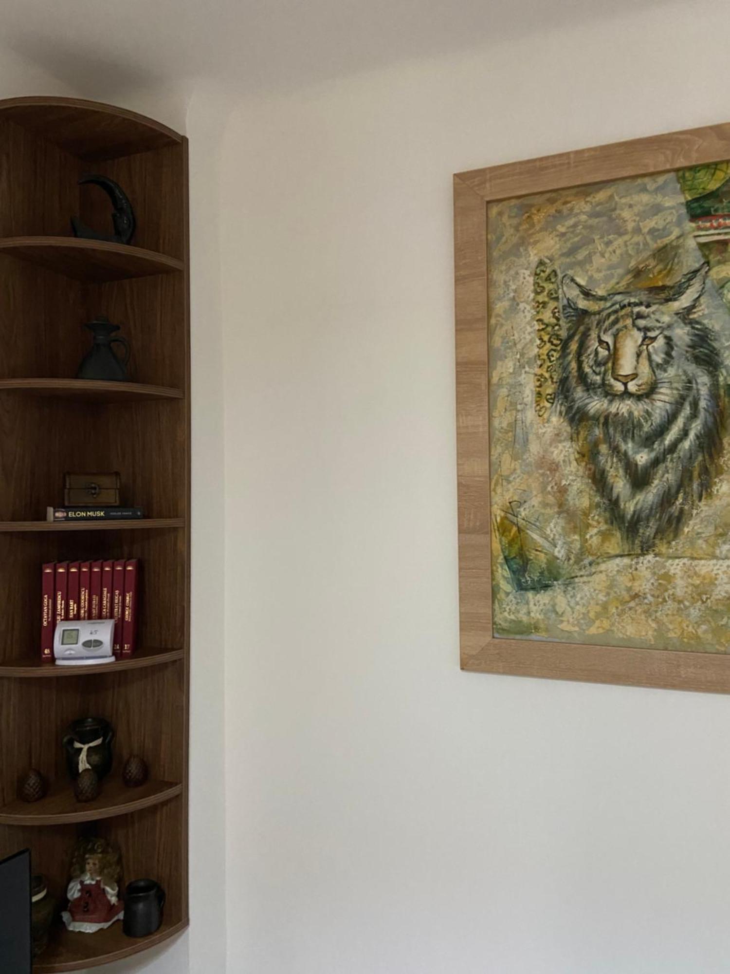 Casa Mountain View Βίλα Μπρασόβ Εξωτερικό φωτογραφία