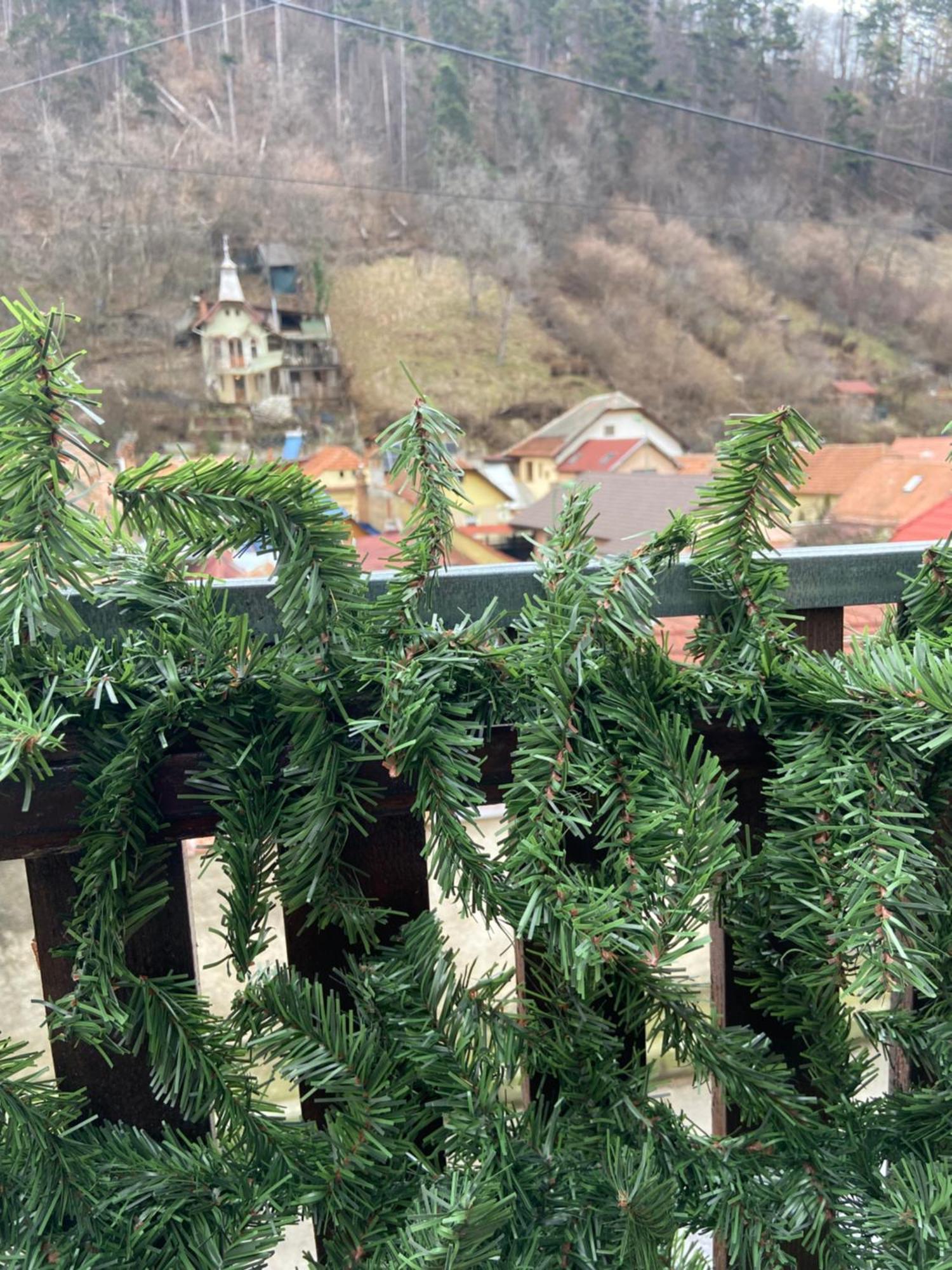 Casa Mountain View Βίλα Μπρασόβ Εξωτερικό φωτογραφία