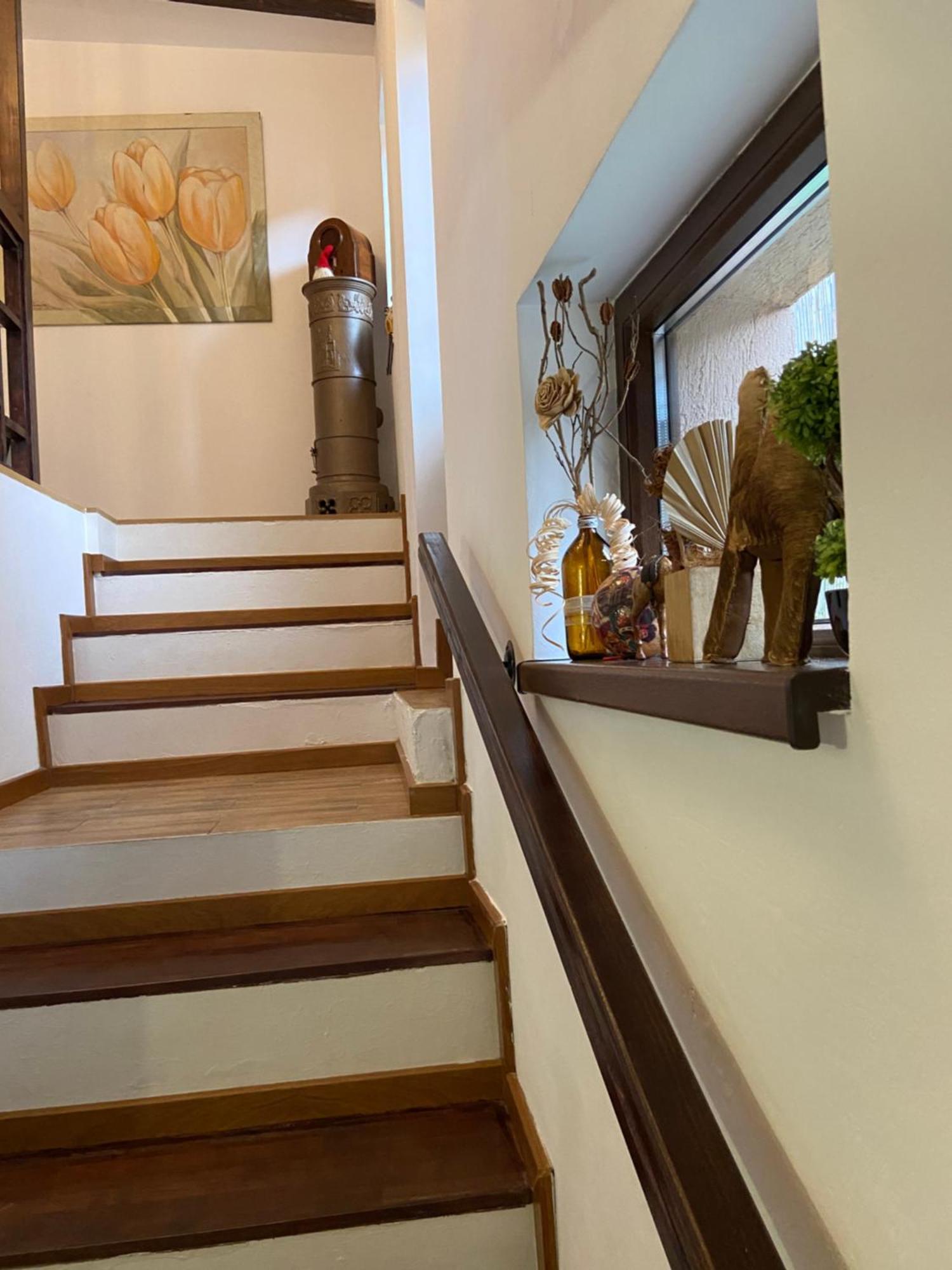 Casa Mountain View Βίλα Μπρασόβ Εξωτερικό φωτογραφία