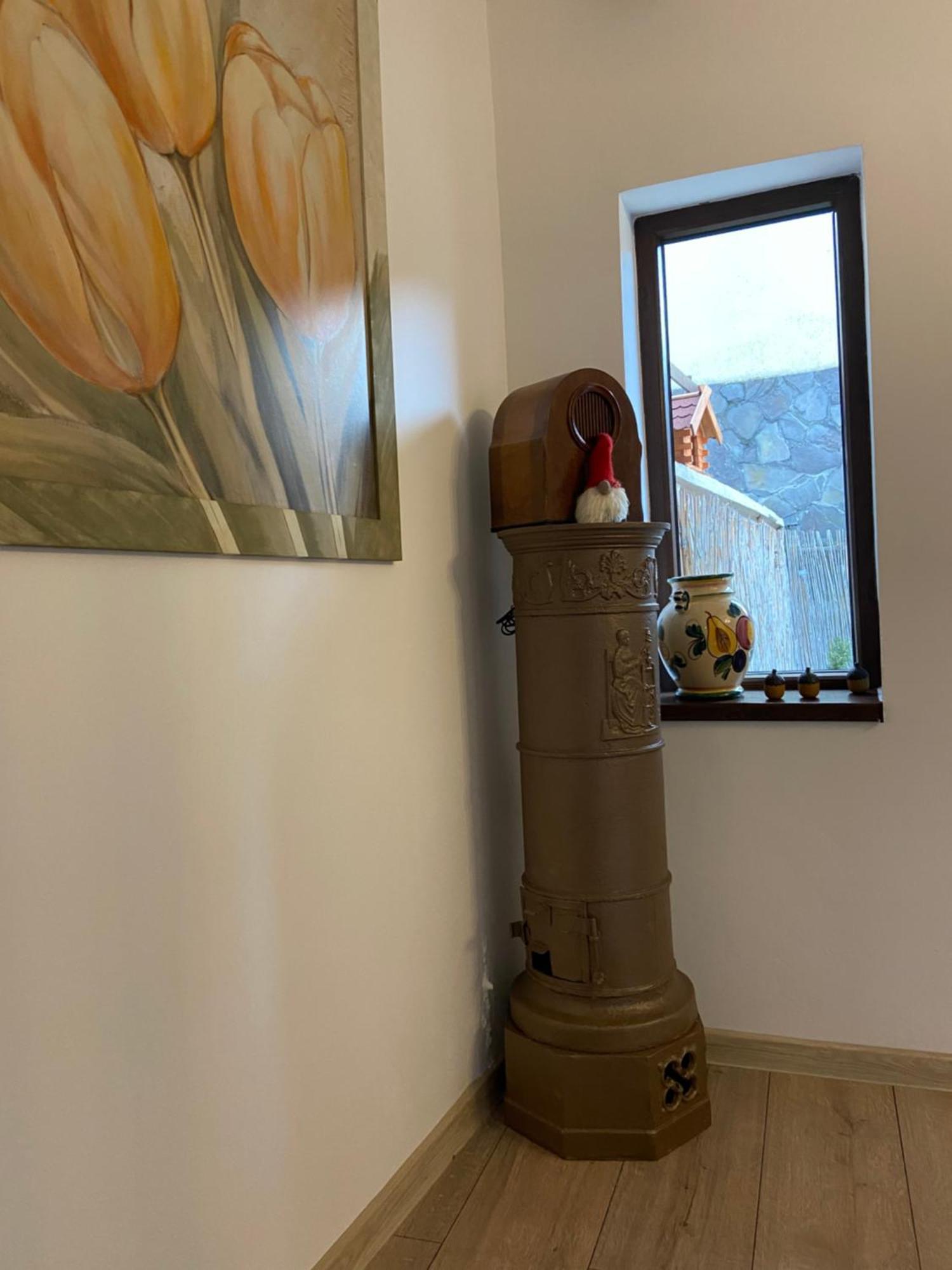 Casa Mountain View Βίλα Μπρασόβ Εξωτερικό φωτογραφία