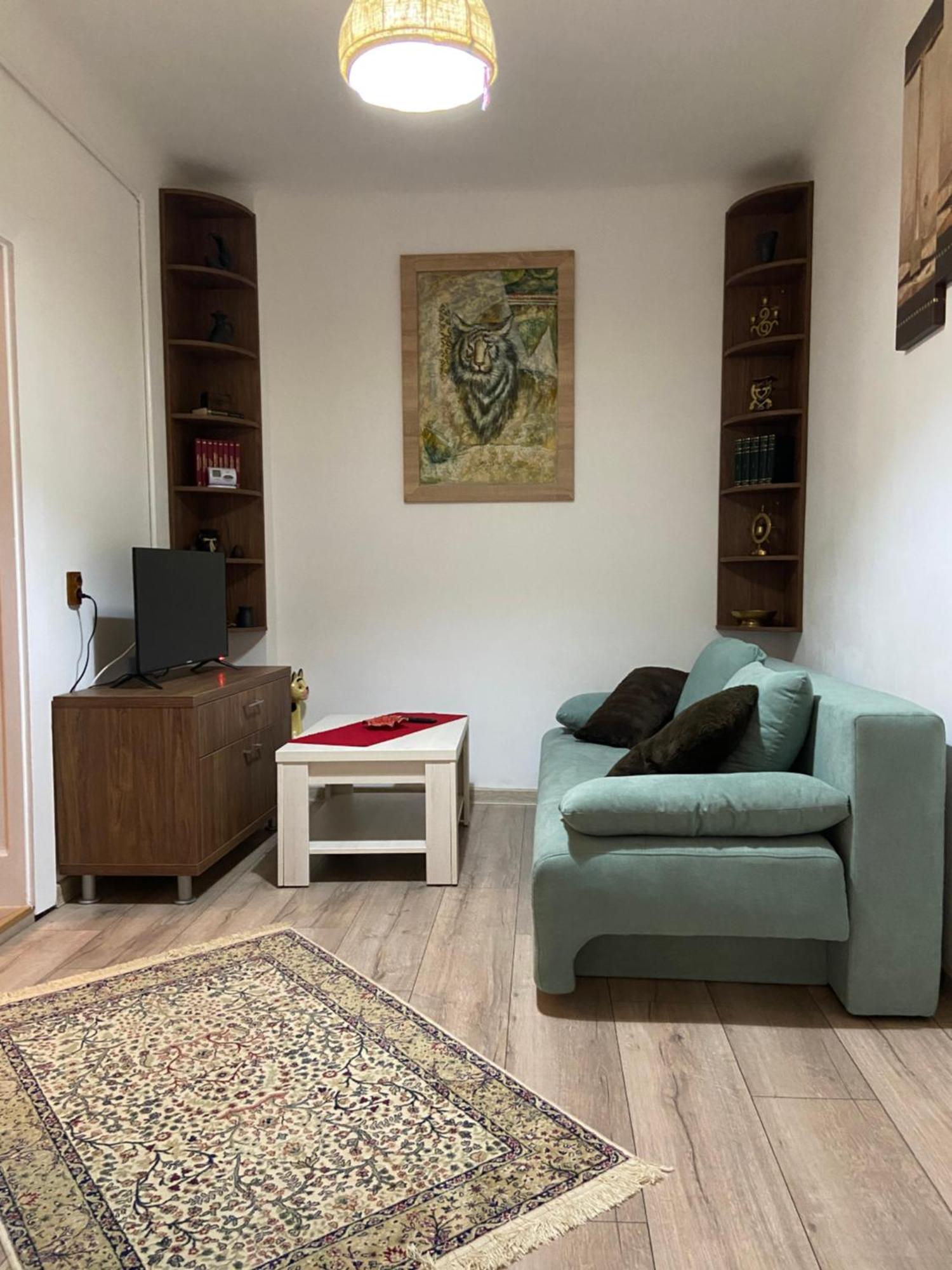 Casa Mountain View Βίλα Μπρασόβ Εξωτερικό φωτογραφία