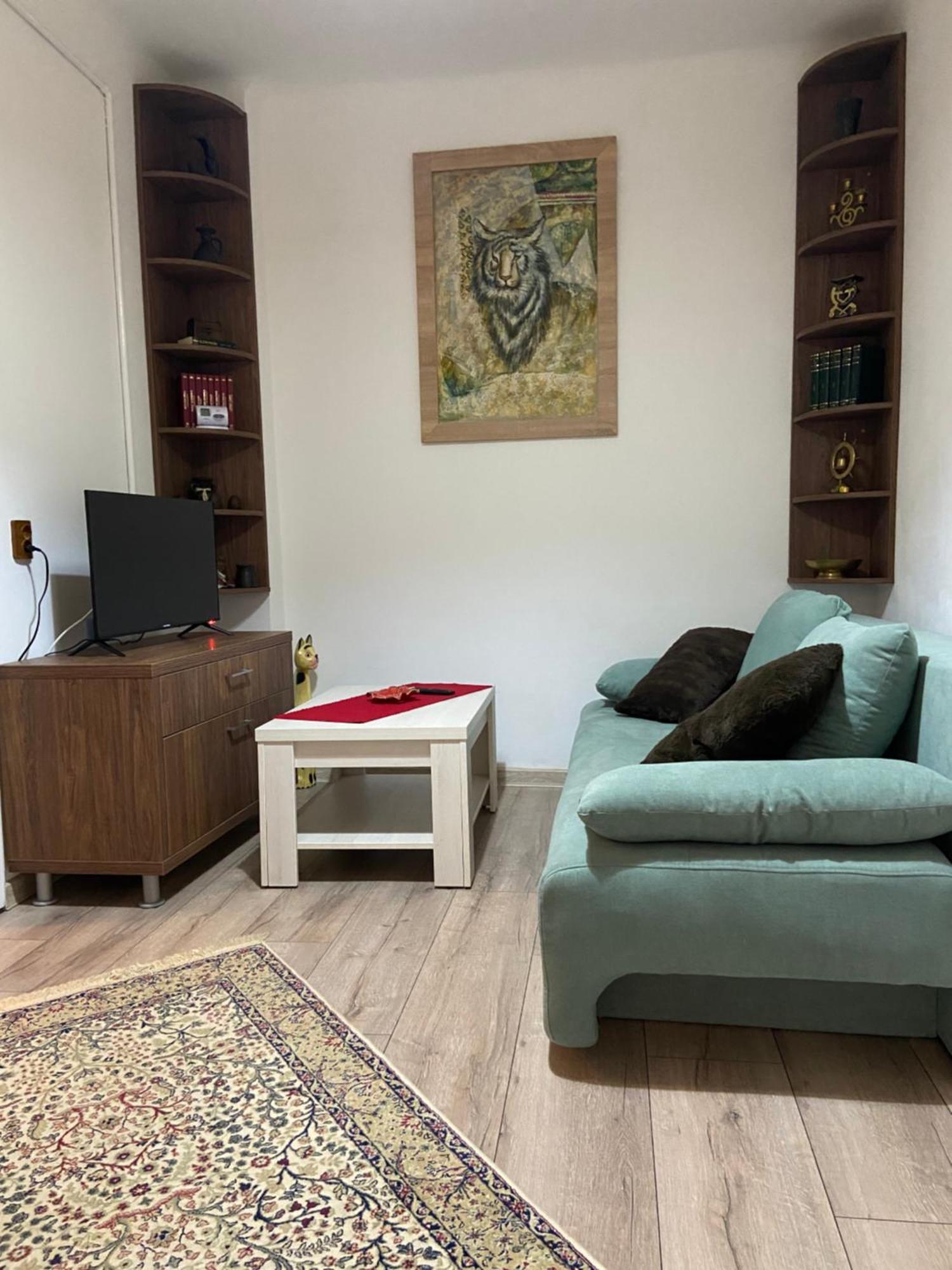 Casa Mountain View Βίλα Μπρασόβ Εξωτερικό φωτογραφία